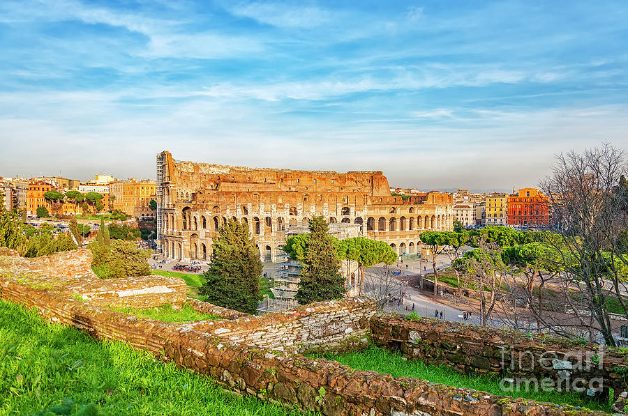 Rome Colosseum from Palatine Hill Photograph by Antony McAulay