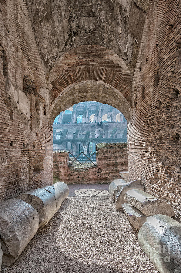 Rome Colosseum Interior Veiwpoint Photograph by Antony McAulay