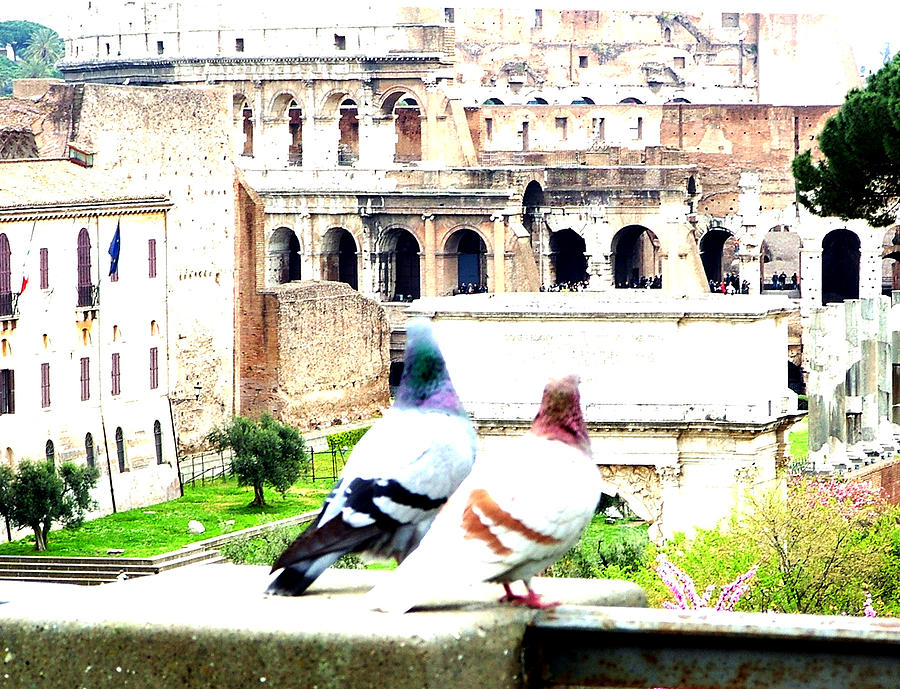 Rome Romance Photograph by Mindy Newman