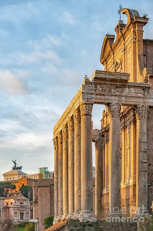 Rome Temple of Antoninus and Faustina Photograph by Antony McAulay