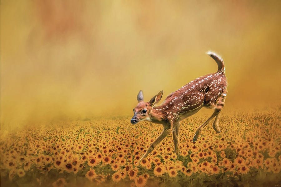 Romping In The Sunflower Field - Fawn Art by Jai Johnson Photograph by Jai Johnson