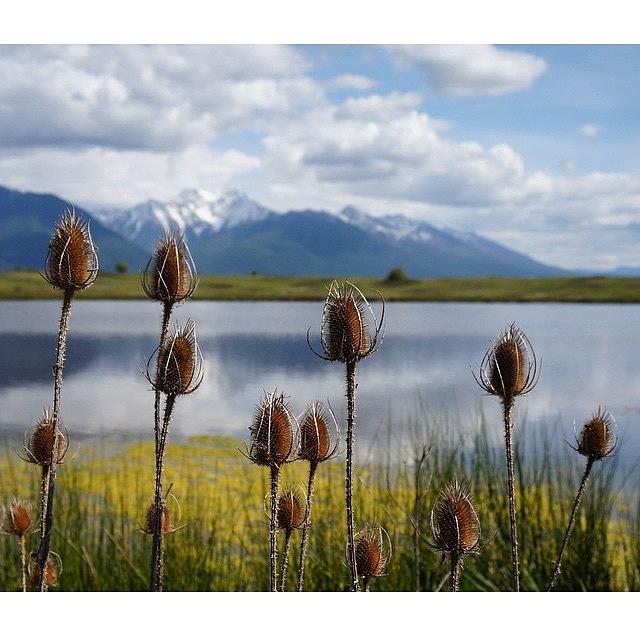 Montana Photograph - Ronan, Mt #resourcemag #bigskycountry by Nick Logan