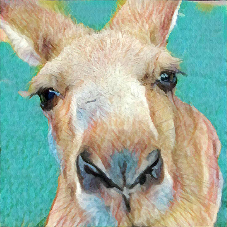Roo Roo Photograph by Unhinged Artistry