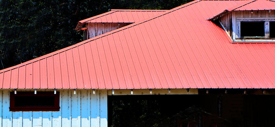 Roof line Photograph by Josephine Buschman