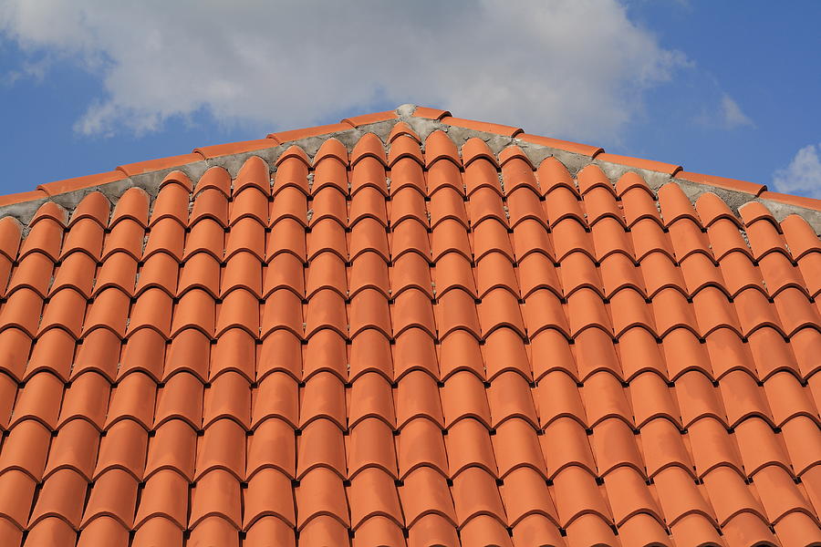 Roof tiles Photograph by Dragan Nikolic - Fine Art America