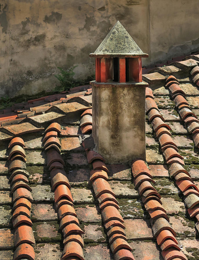 Roof Tiles in Florence Italy Photograph by Dave Mills