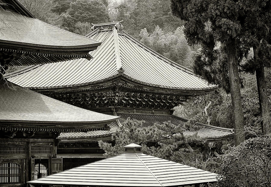 Roofs of tranquility Photograph by Ponte Ryuurui