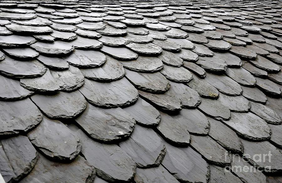 Rooftiles  Photograph by Sylvie Leandre