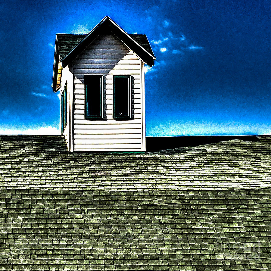 Rooftop Cupola   Photograph by William Norton