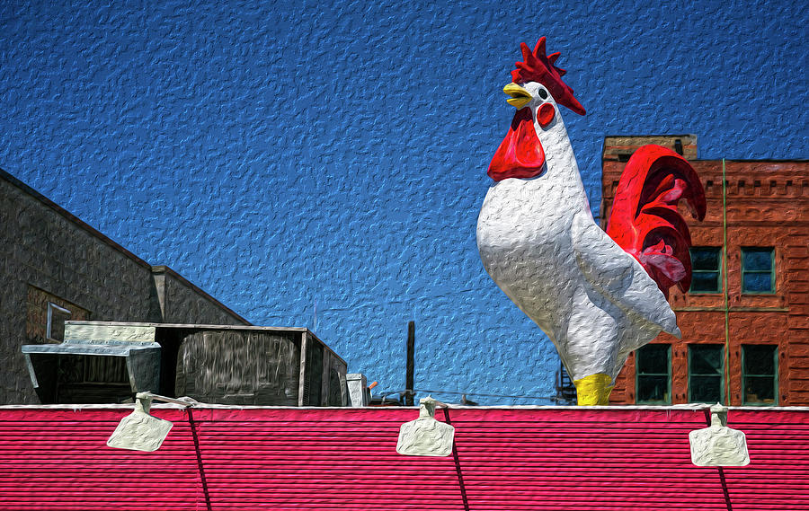 Rooftop Rooster Photograph by Art Cole