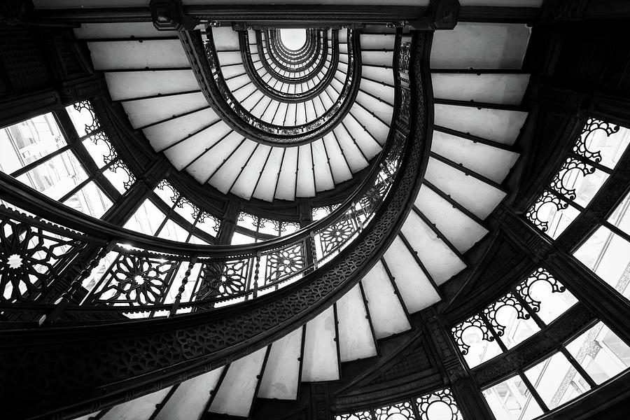 Rookery Black and White Photograph by Ryan Smith
