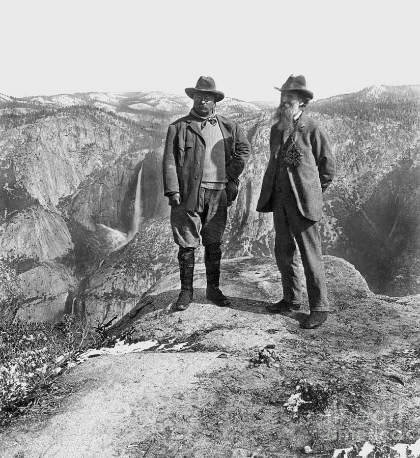 Roosevelt & Muir Photograph by Granger