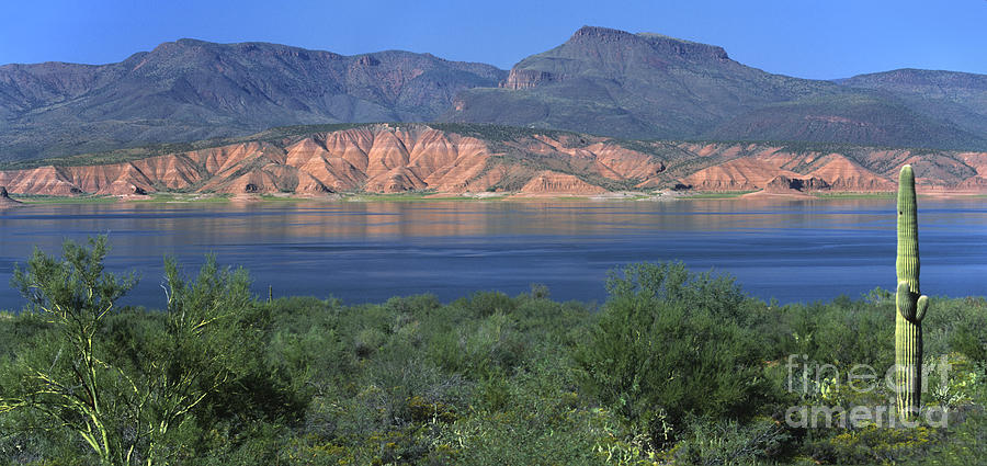 Mountain Photograph - Roosevelt Lake - Panoramic by Sandra Bronstein