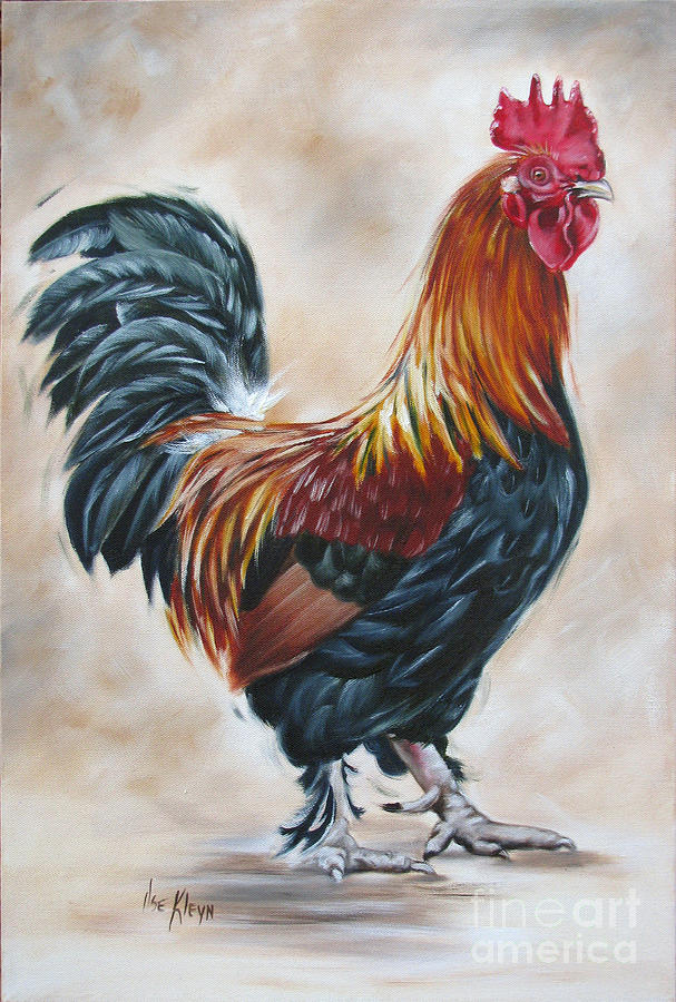 Rooster 20 of 10 Painting by Ilse Kleyn