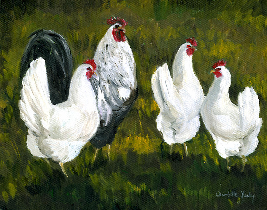 Rooster and Hens Painting by Charlotte Yealey