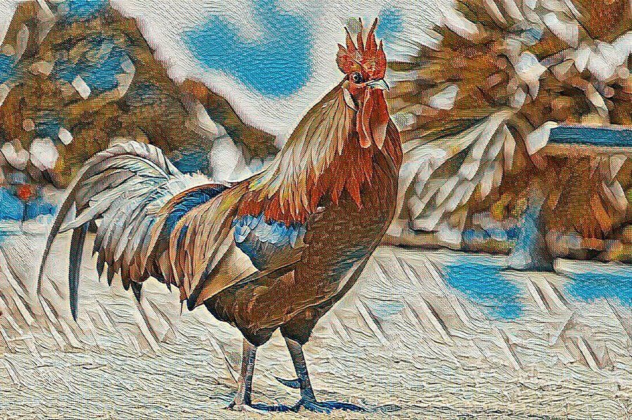 Rooster Digital Art by Cletis Stump