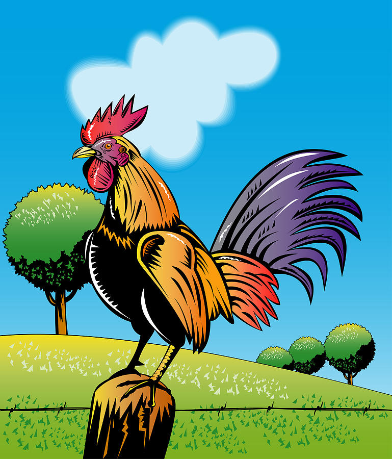 Rooster Digital Art - Rooster Cockerel Cock Crowing Retro by Aloysius Patrimonio