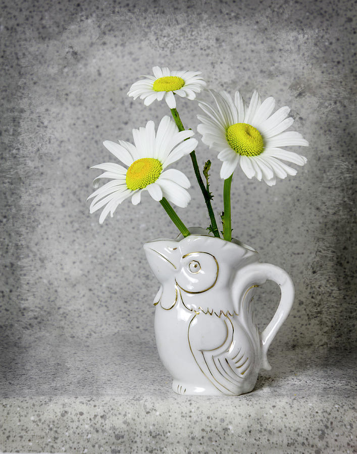 Rooster Photograph - Rooster Creamer with Daisies by Betty Denise