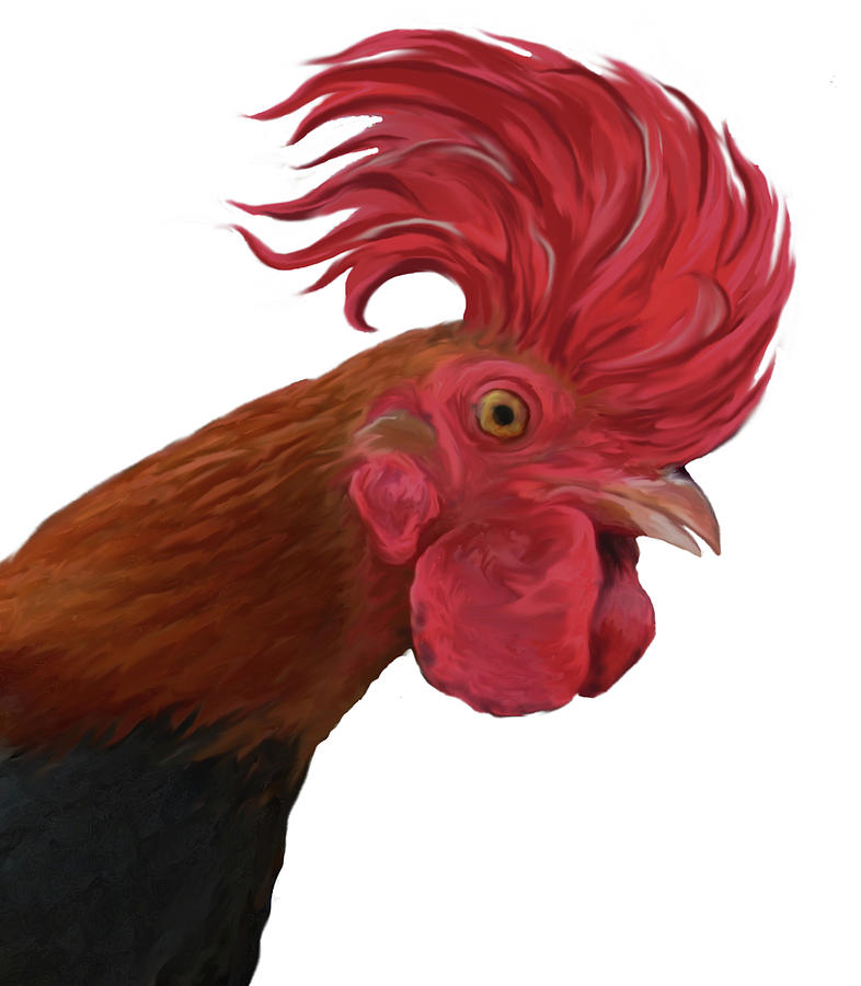 Rooster Painting - Rooster Doo by Lonnie Tapia
