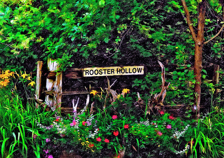 Flower Photograph - Rooster Hollow by Steve Harrington