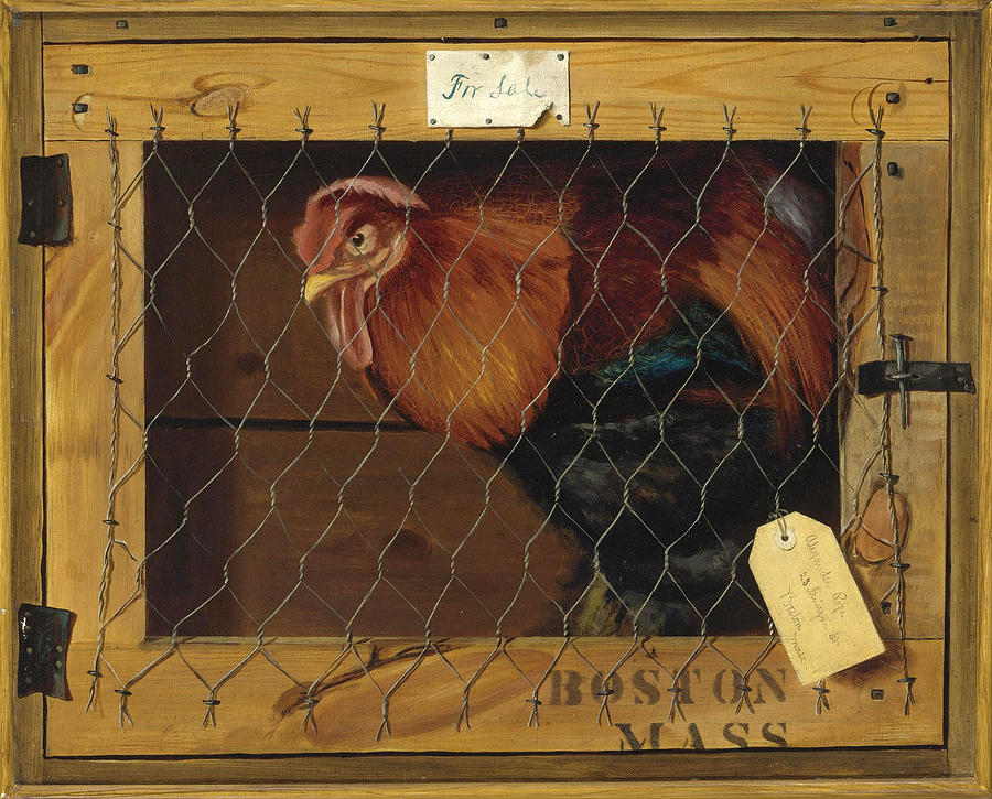 Feather Painting - Rooster in Transit by Alexander Pope