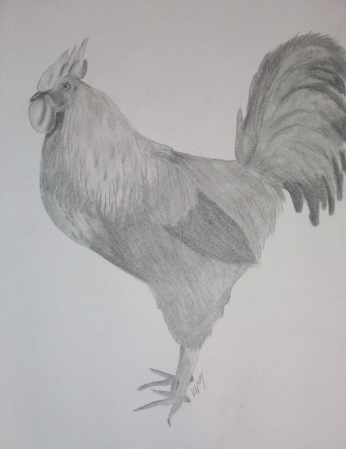 Rooster Drawing - Rooster by Kristen Hurley