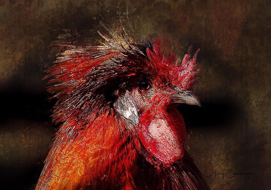 Rooster Photograph by Looking Glass Images