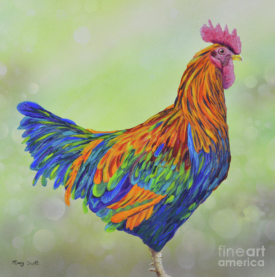 Rooster Painting by Mary Scott