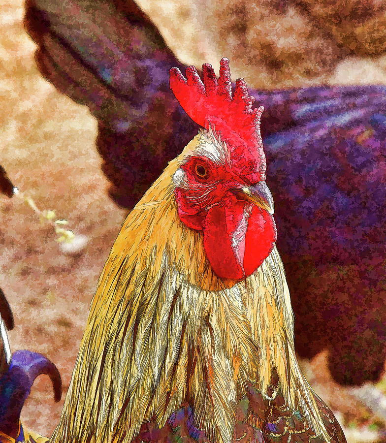 Rooster Portrait 3 Abstract I Digital Art by Linda Brody