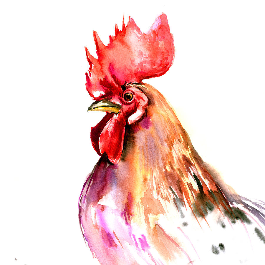 Rooster Portrait Painting by Suren Nersisyan