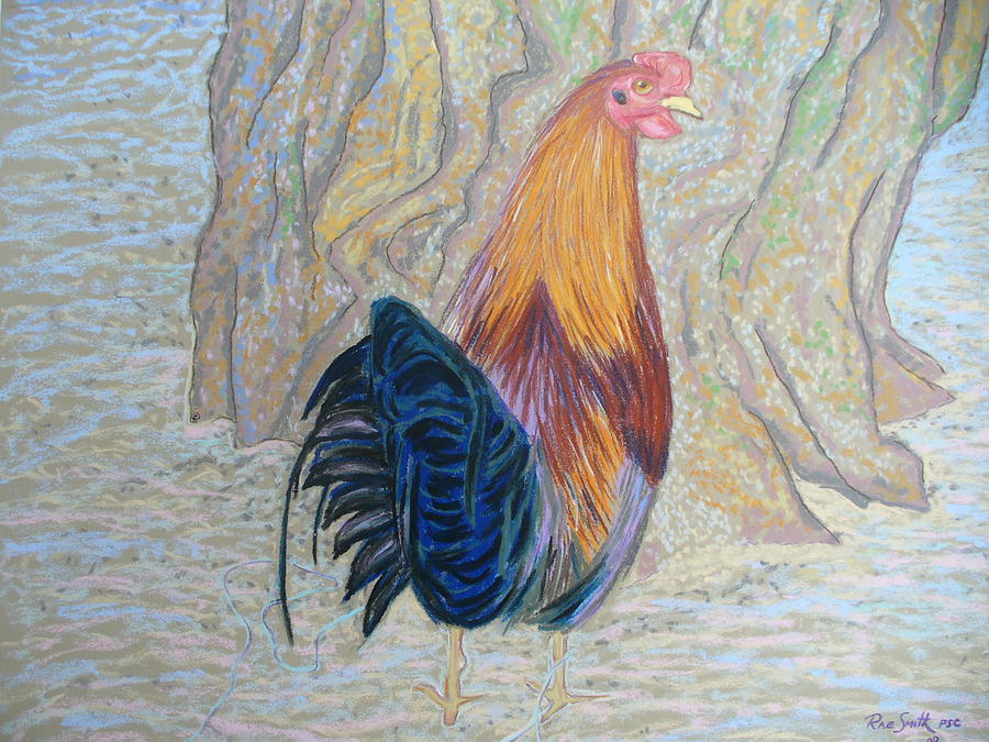 Rooster Pastel by Rae  Smith