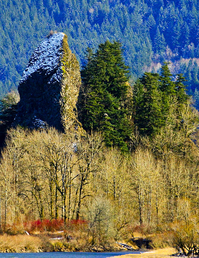 Rooster Rock Photograph by Albert Seger