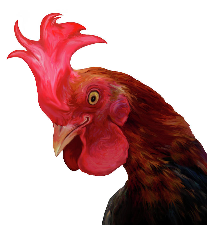 Rooster Digital Art - Rooster Talk by Lonnie Tapia