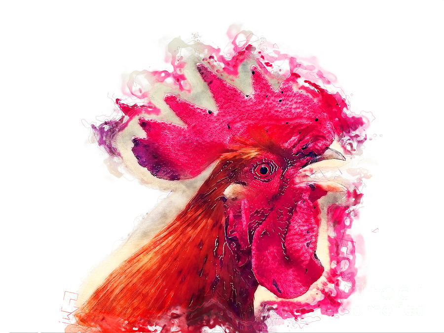 Rooster watercolor painting Painting by Justyna Jaszke JBJart