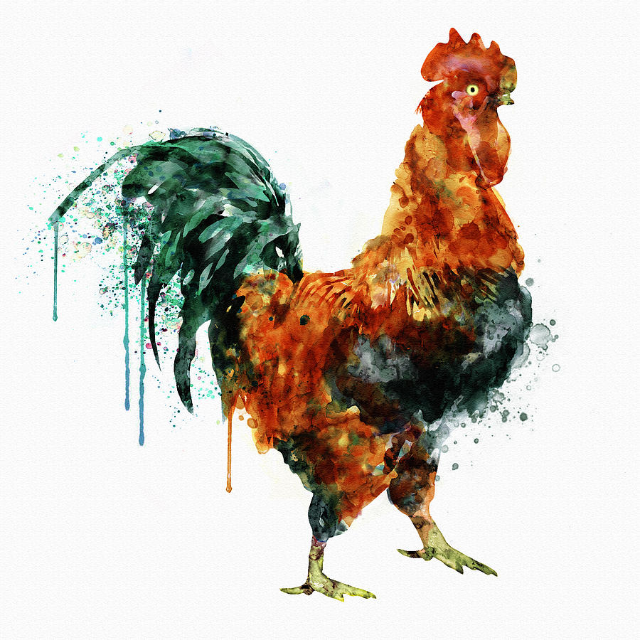 Rooster Painting - Rooster watercolor painting by Marian Voicu