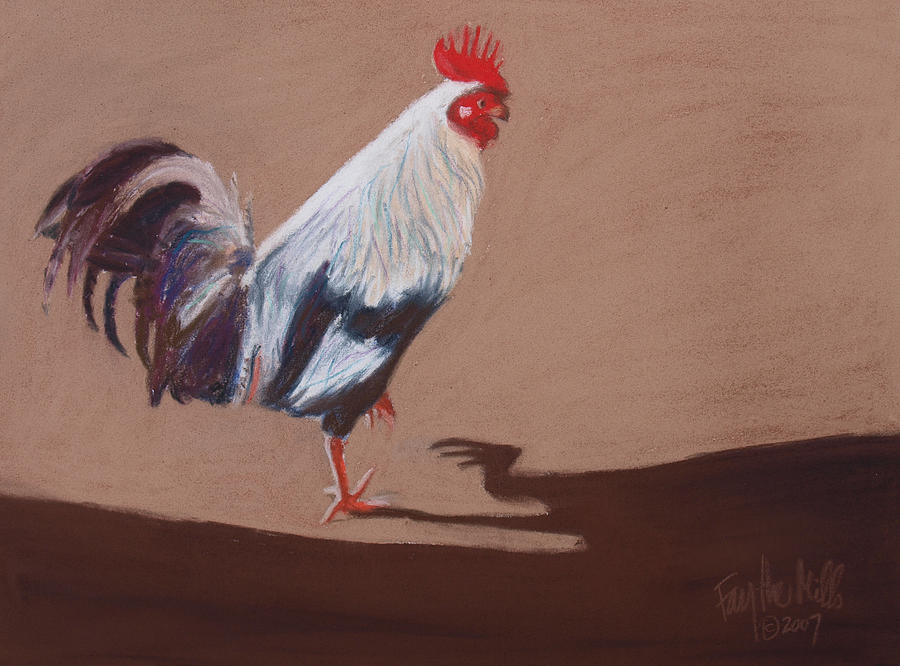 Rooster Drawing - Roosters Shadow by Faythe Mills