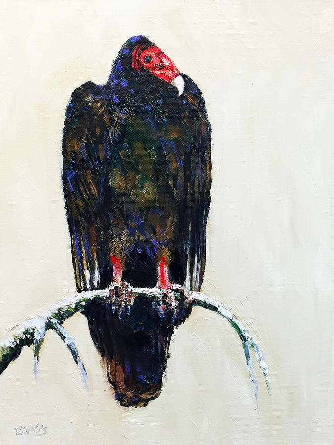 Bird Painting - Roosting Turkey Vulture by Charles Wallis