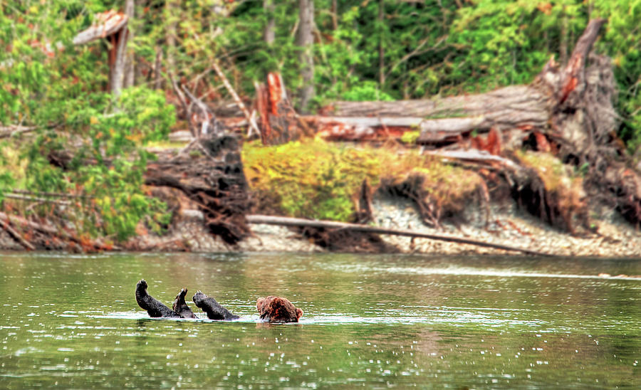 Root Bear Float Photograph by Michael Scott