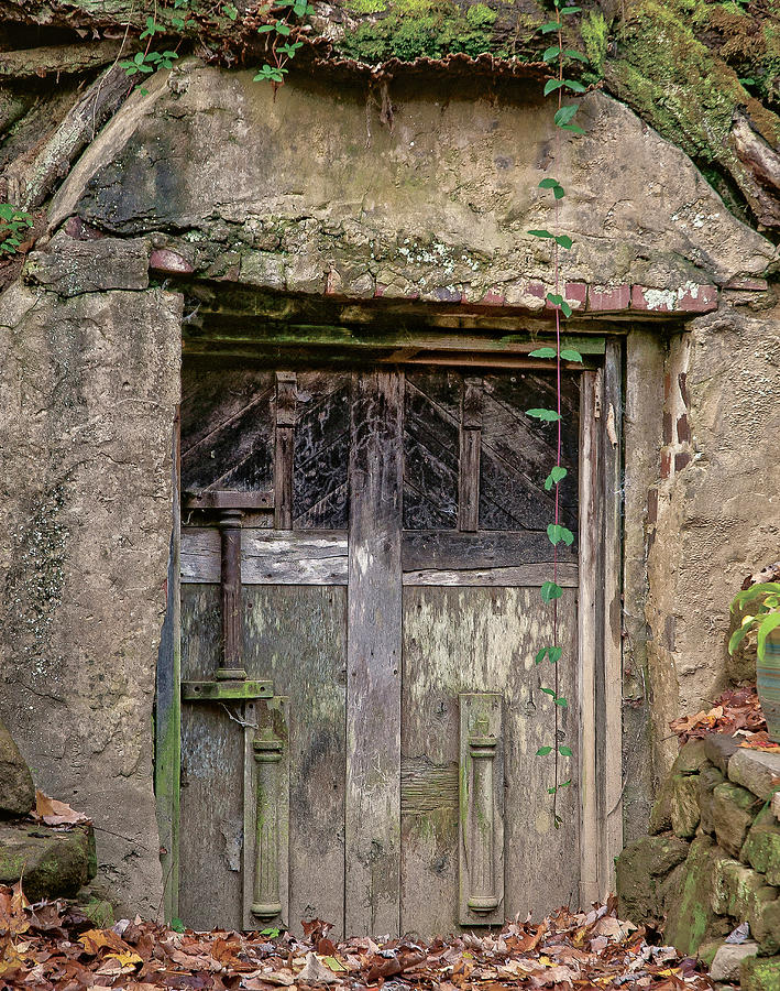 Root Cellar Door by Leon Winkowski