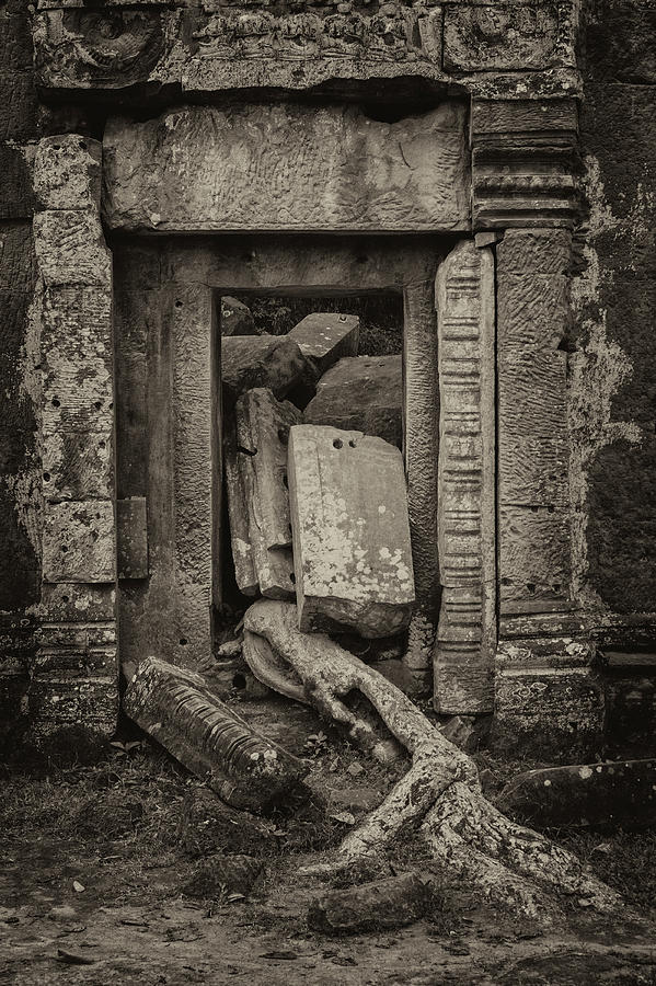 Roots In Ruins 2, Ta Prohm, 2014 Photograph by Hitendra SINKAR