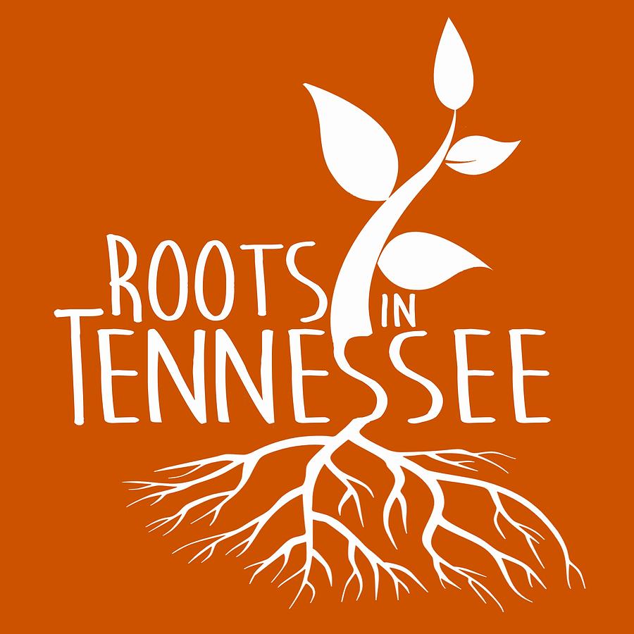 University Of Tennessee Digital Art - Roots in Tennessee Seedlin by Heather Applegate
