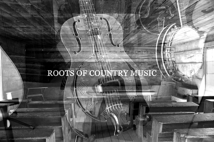 Roots of Country Music Photograph by David Lee Thompson