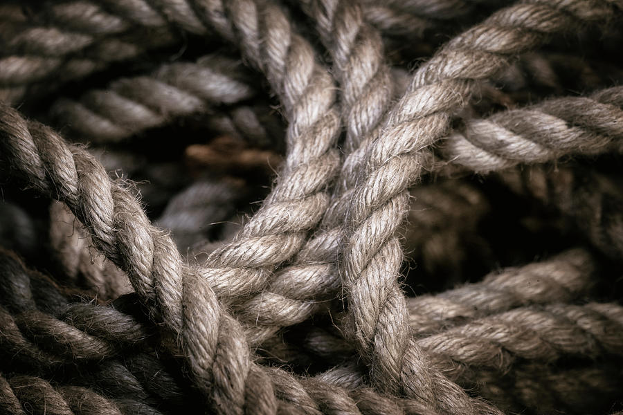 Rope Abstract Photograph by Tom Mc Nemar