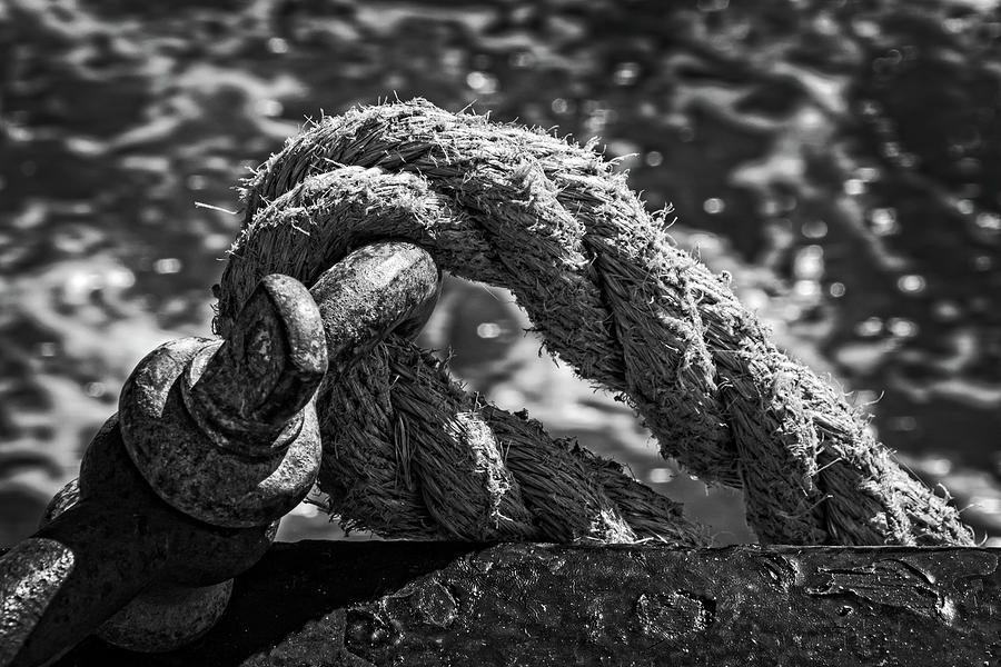 Rope and hook - 365-170 Photograph by Inge Riis McDonald