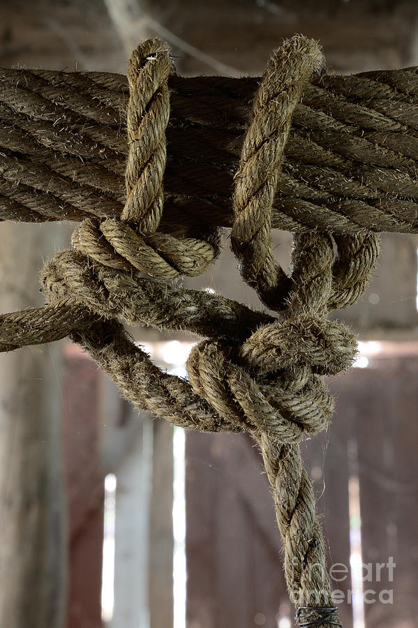 Rope and Knot 7682 Photograph by Ken DePue