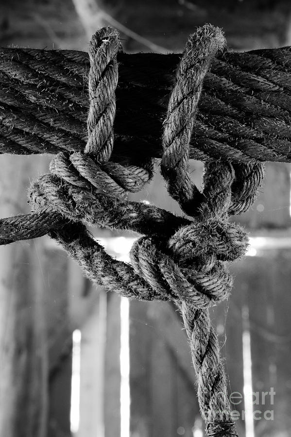Rope and Knot BW 7682 Photograph by Ken DePue