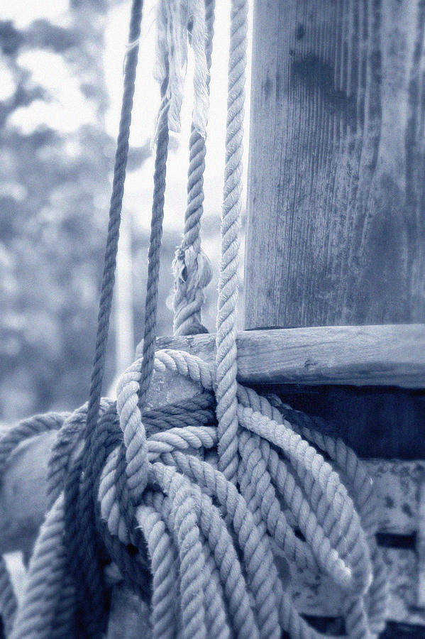 Rope and Mast Photograph by Frank Mari