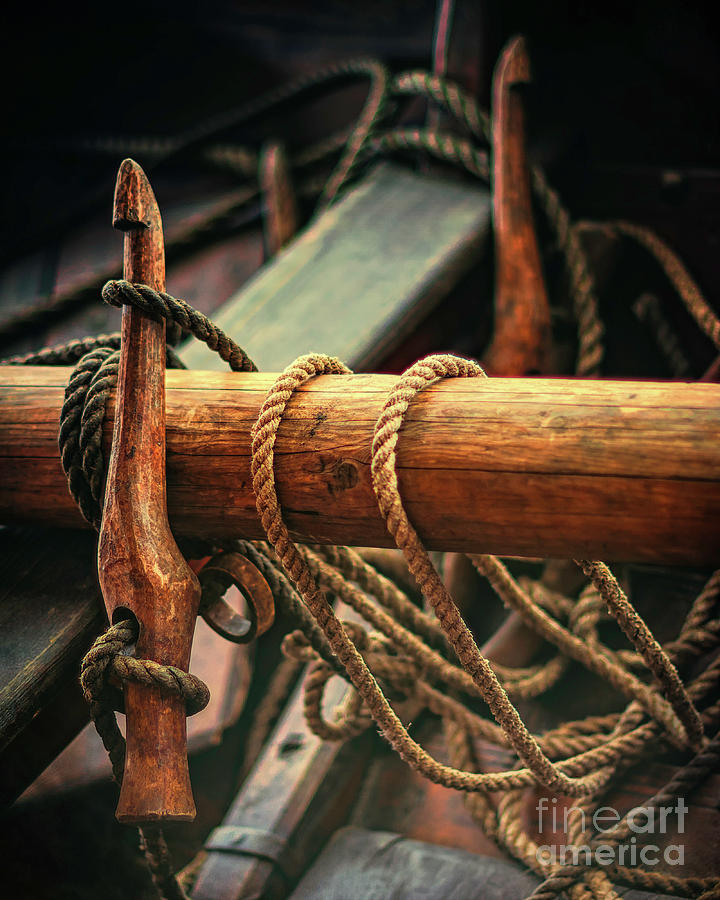Rope And Wood Photograph by Joe Geraci