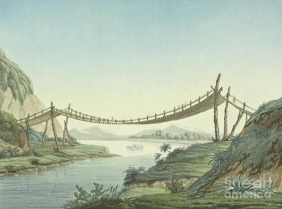 Rope Bridge near Penipe Painting by Friedrich Alexander Baron von Humboldt  - Fine Art America