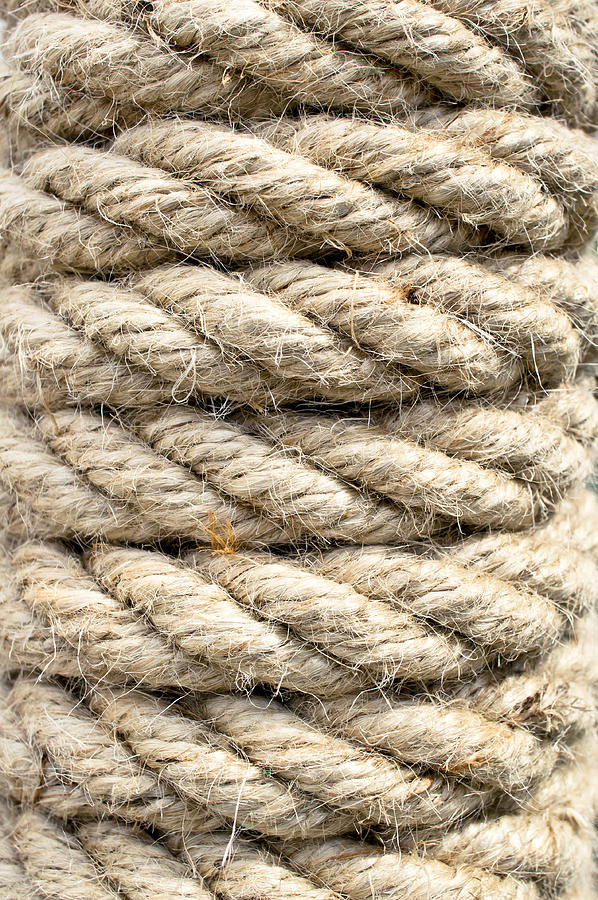 Rope detail Photograph by Tom Gowanlock | Fine Art America